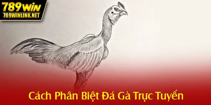 cach phan biet da ga truc tuyen
