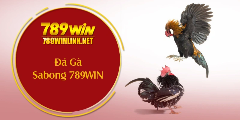 Kết Luận Về Đá Gà Sabong 789WIN