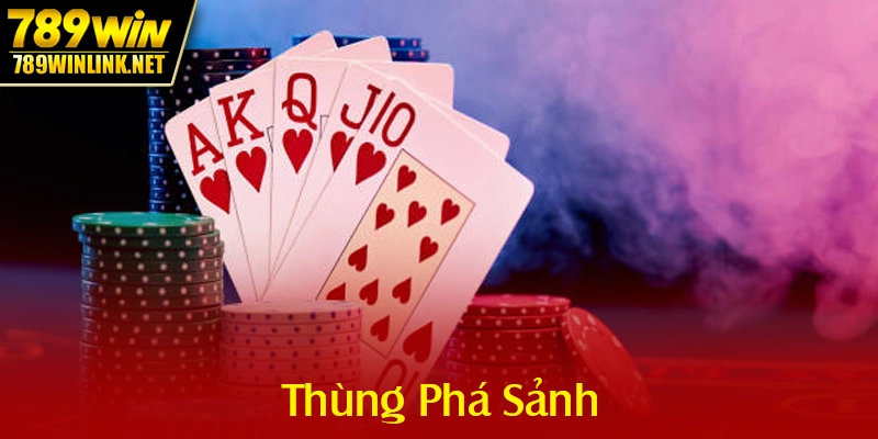 Chiến Thuật Ba Thùng Phá Sảnh (Chi Đa Dạng)